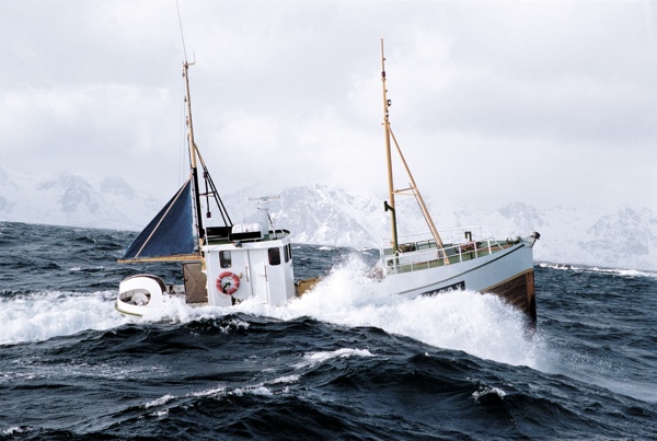 Das große Skrei Abenteuer Lofoten  Boot