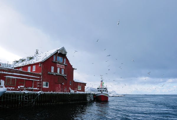 Das große Skrei Abenteuer Haus Norwegen