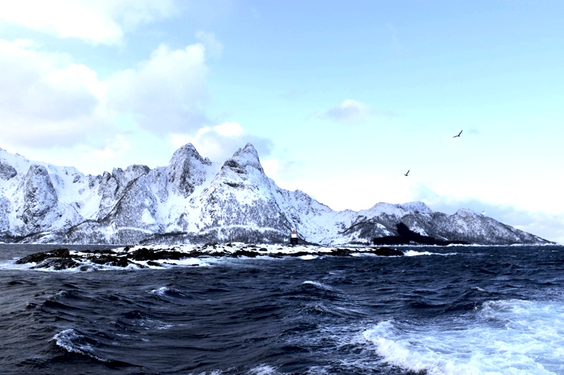 Das große Skrei Abenteuer Lofoten  Landschaft Norwegen