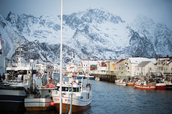 Das große Skrei Abenteuer Fischerboote