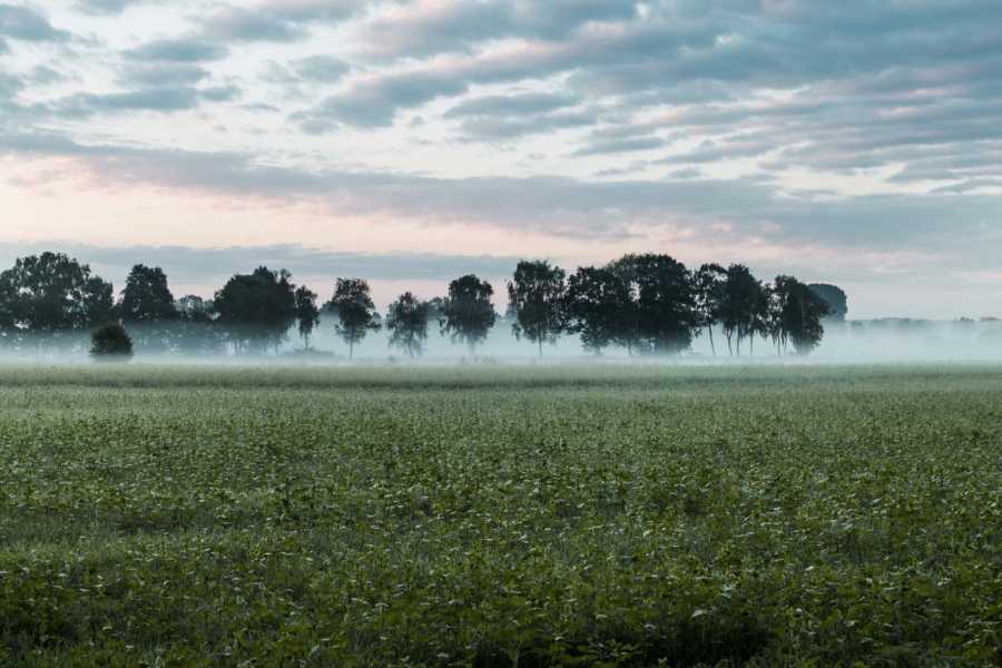 Umgebung Pilzgarten Helvesiek |  GoumetGuerilla.de -