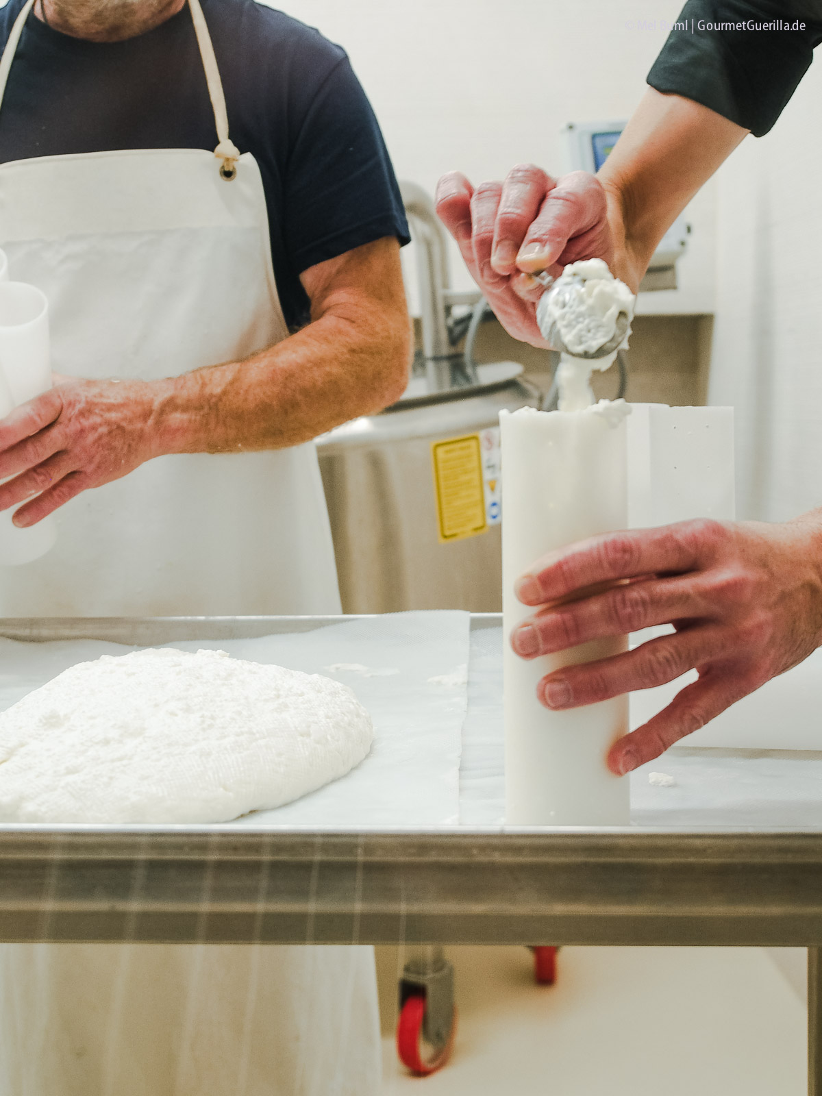 Frischkäse in Formen füllen für Heumilchkäse in Wiens einziger Stadtkäserei Lingenhel | GourmetGuerilla.de