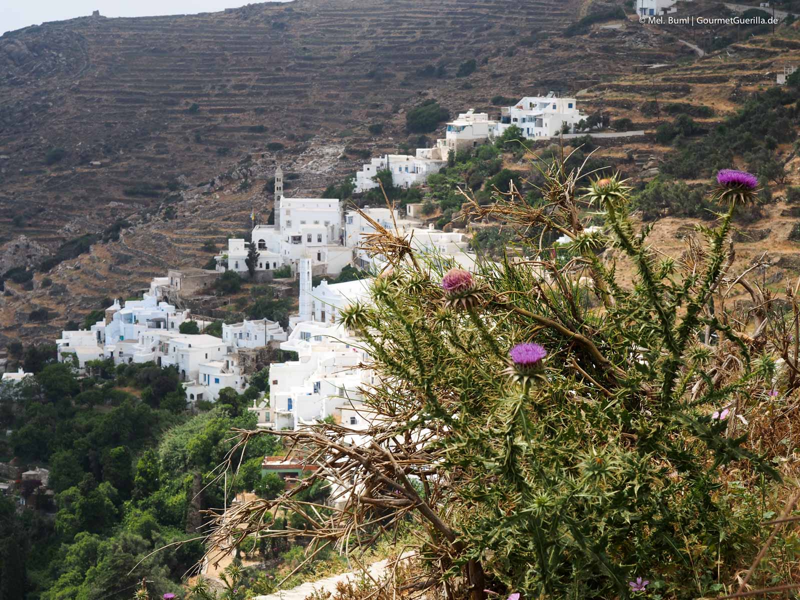 Reisebericht Tinos Foodpath griechische Insel Kykladen Griechenland | GourmetGuerilla.de