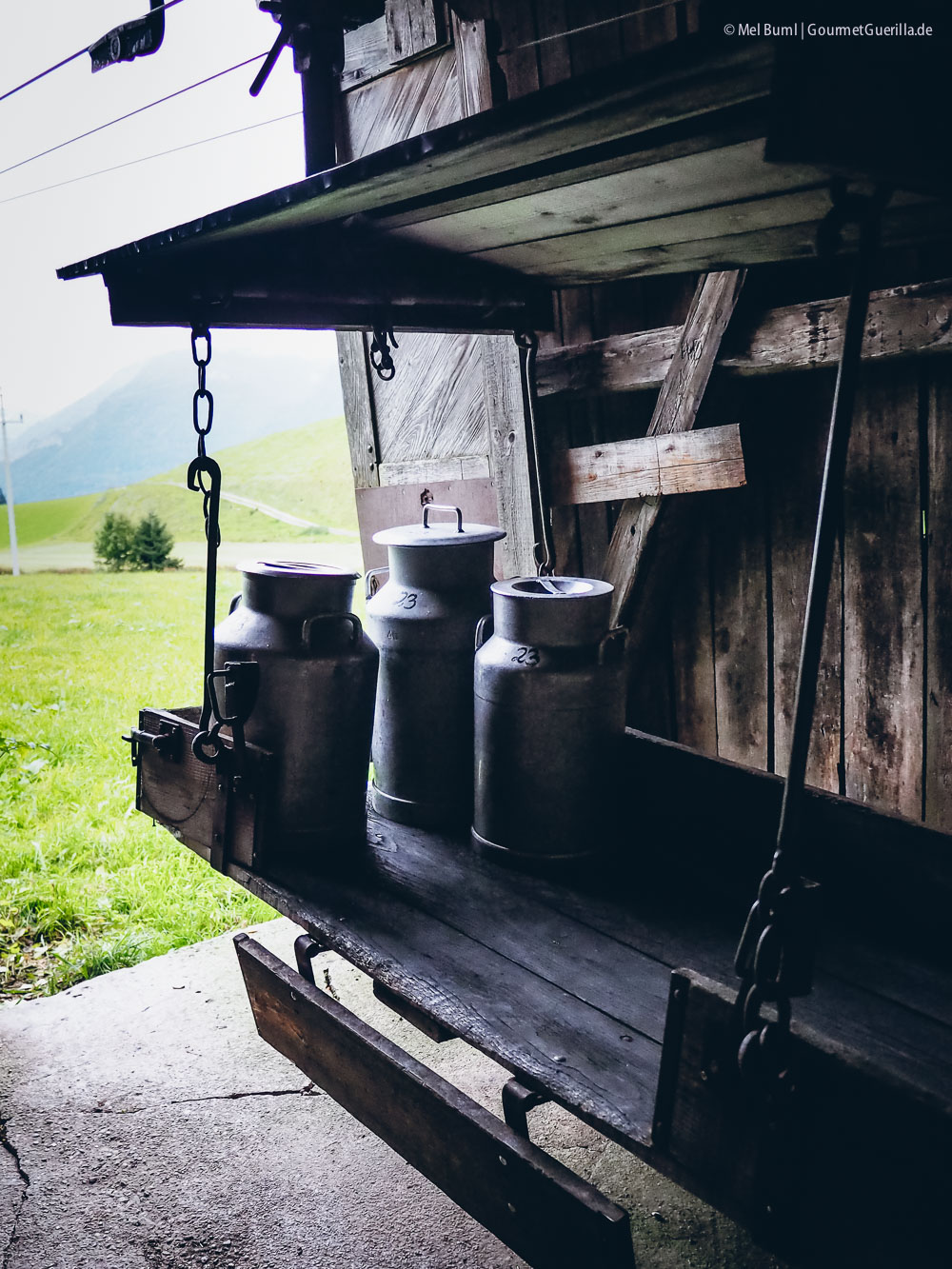 Milchseilbahn Heumilchkuehe in Tirol Ahornhof Oesterreich Sennermeetsblogger | GourmetGuerilla.de